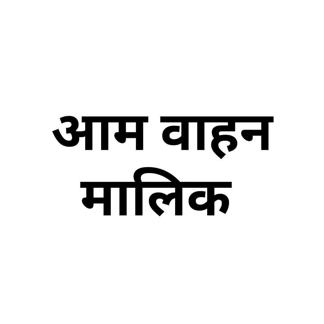 आम वाहन मालिक