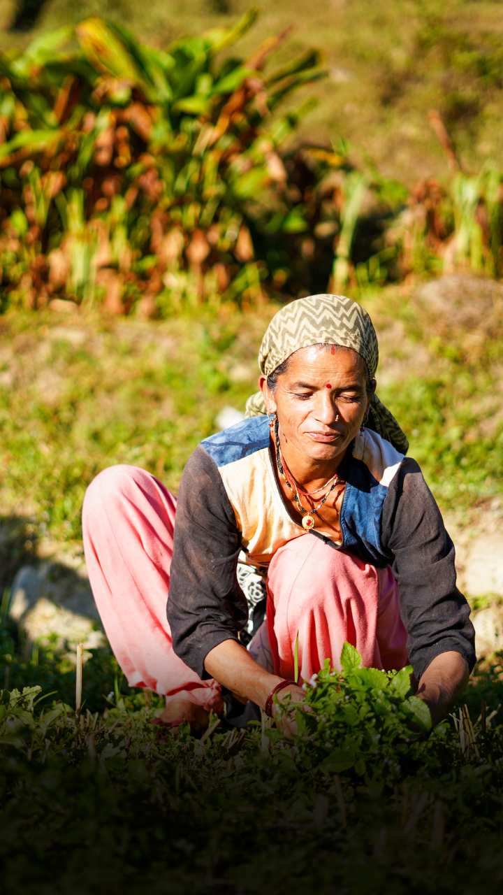 महिलाओं के लिए कांग्रेस की 5 गारंटी क्या-क्या हैं ?